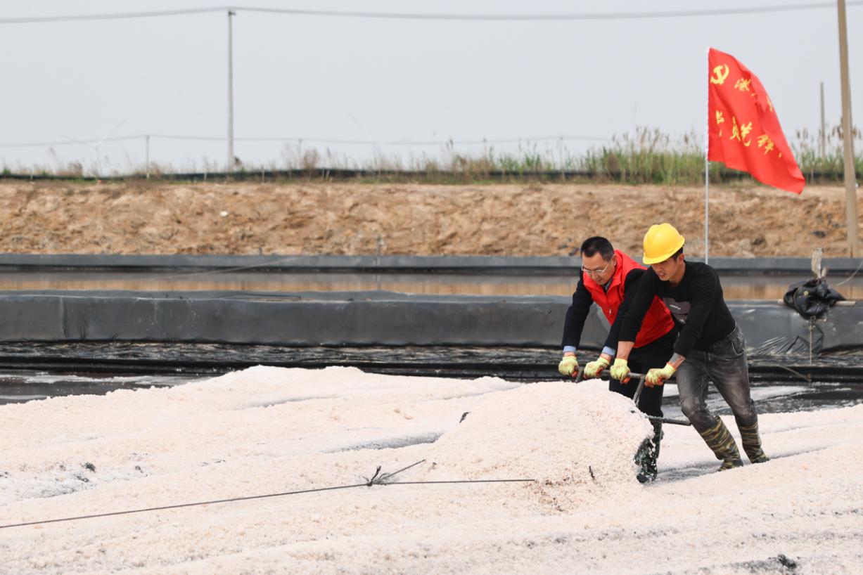 港產(chǎn)黨支部開(kāi)展&ldquo;鹽話初心 行擔(dān)使命&rdquo;2.jpg